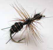 ���� Ant flies �������  ANT 016 ( Black DUBBING ) Kumho dry � 12